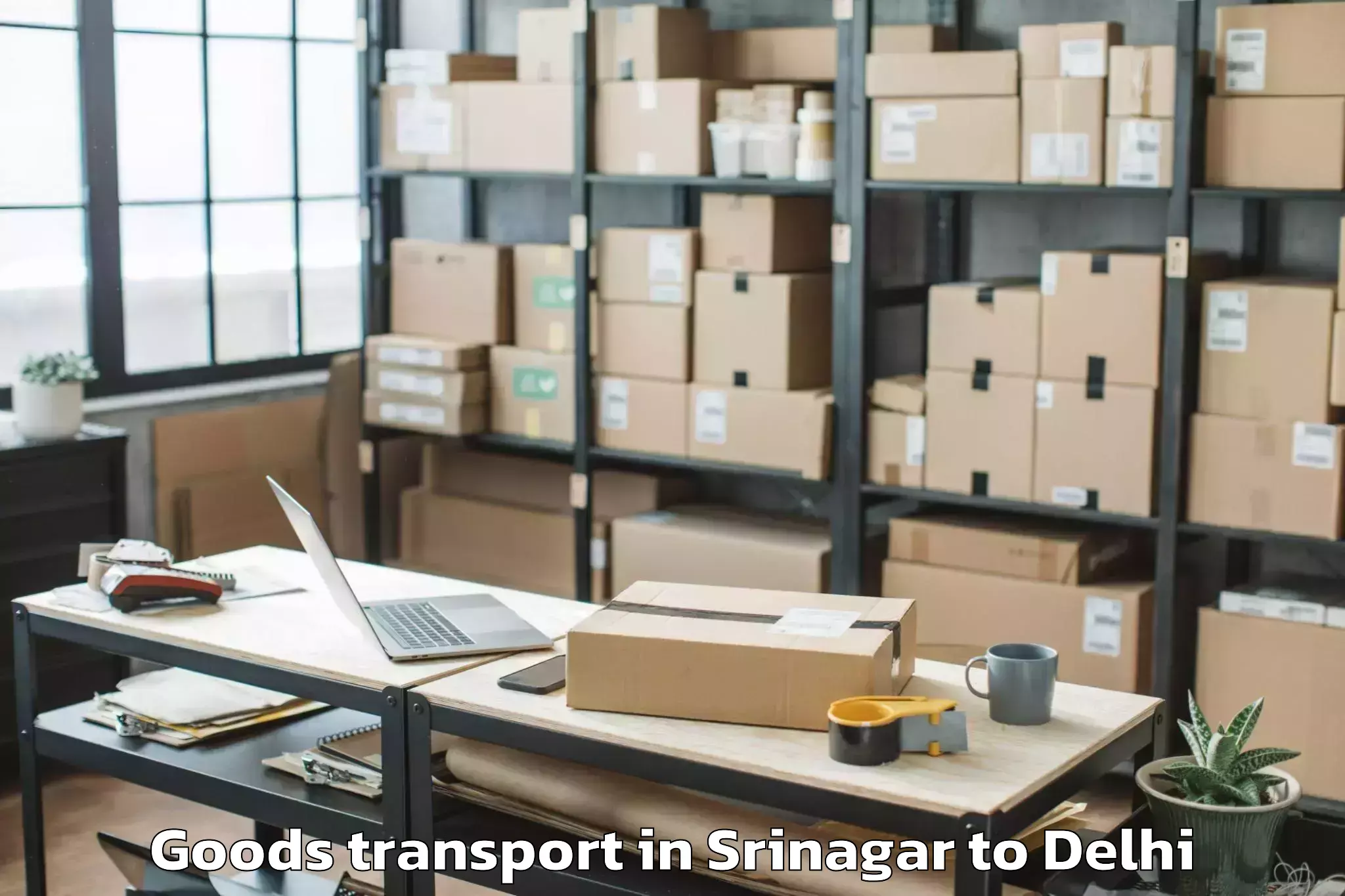 Efficient Srinagar to City Centre Mall Dwarka Goods Transport